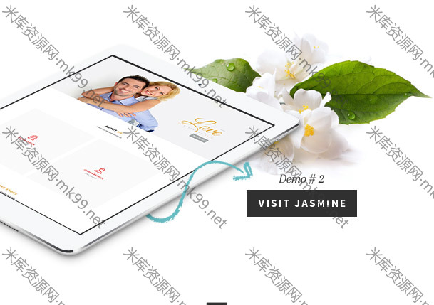 wordpress主题汉化版婚礼婚庆Wedding Suite[更新至v2.6.4]-米酷主题