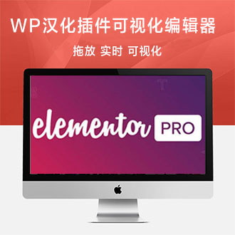 wordpress精选可视化编辑插件elementor pro汉化版 V2.6.2