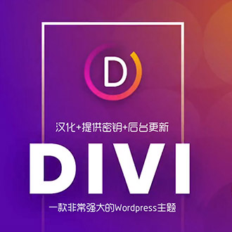 WordPress企业中文主题Divi支持SEO个性DIY[更新至4.8]