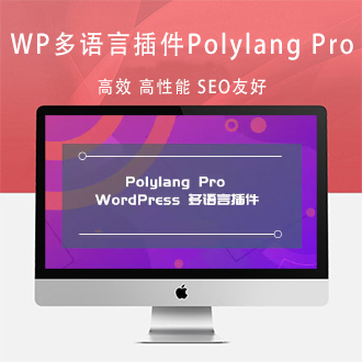 WordPress多语言插件Polylang Pro已激活版[更新至3.1.2]